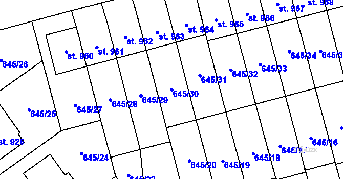Parcela st. 645/30 v KÚ Lišov, Katastrální mapa