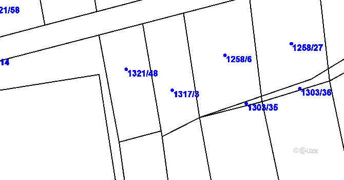 Parcela st. 1317/3 v KÚ Lišov, Katastrální mapa