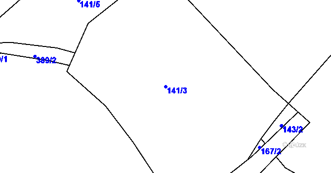 Parcela st. 141/3 v KÚ Litkovice, Katastrální mapa