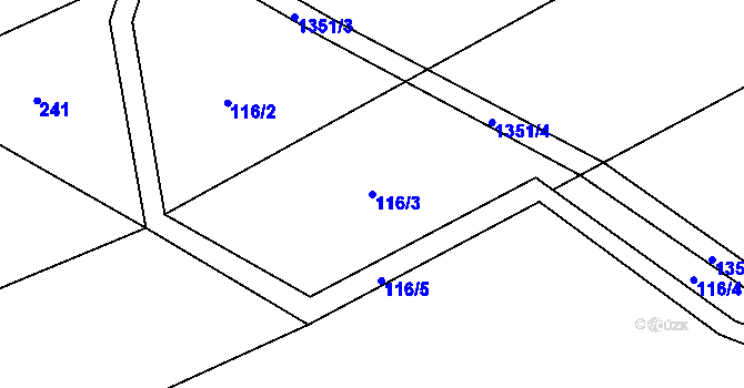 Parcela st. 116/3 v KÚ Litohlavy, Katastrální mapa