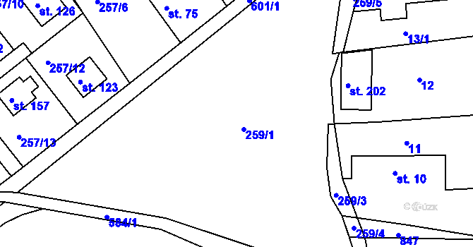 Parcela st. 259 v KÚ Litošice, Katastrální mapa