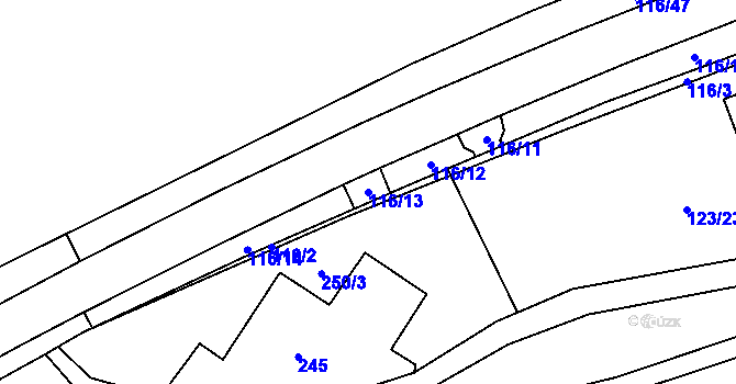 Parcela st. 116/13 v KÚ Horní Částkov, Katastrální mapa