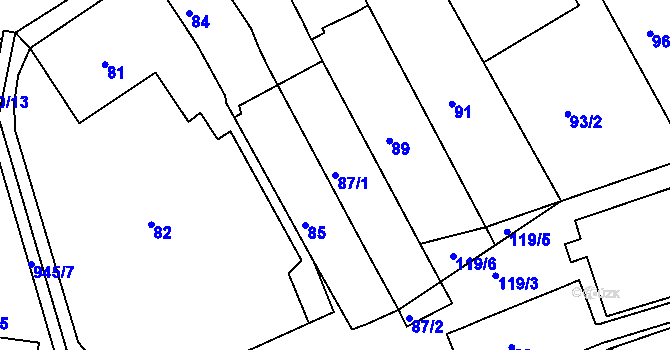 Parcela st. 87/1 v KÚ Litvínovice, Katastrální mapa