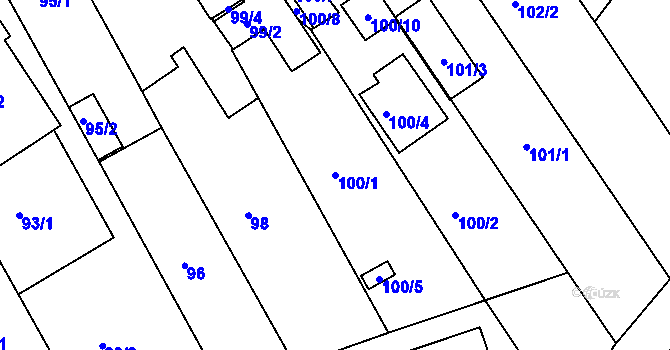 Parcela st. 100/1 v KÚ Litvínovice, Katastrální mapa