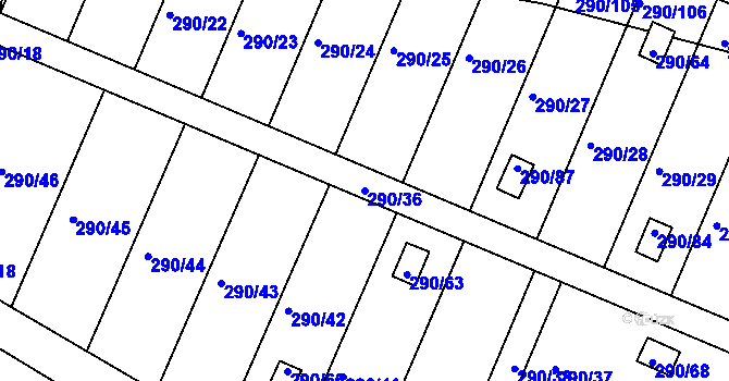 Parcela st. 290/36 v KÚ Litvínovice, Katastrální mapa