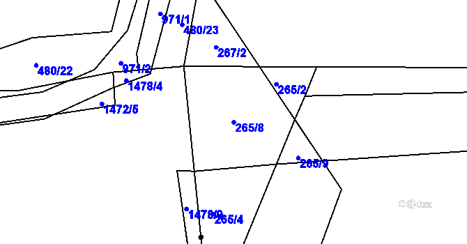 Parcela st. 265/8 v KÚ Litvínovice, Katastrální mapa