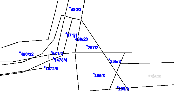 Parcela st. 267/2 v KÚ Litvínovice, Katastrální mapa