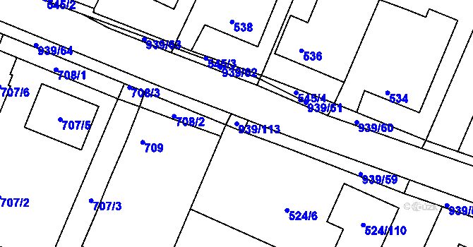 Parcela st. 939/113 v KÚ Litvínovice, Katastrální mapa