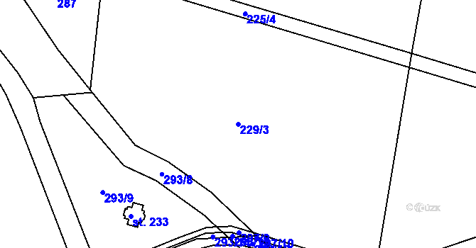 Parcela st. 229/3 v KÚ Lodín, Katastrální mapa