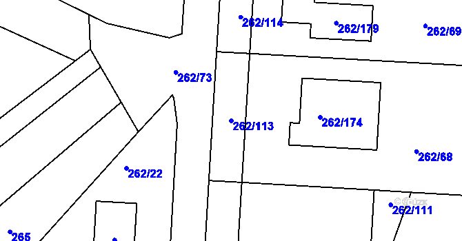 Parcela st. 262/113 v KÚ Týn u Lomnice, Katastrální mapa