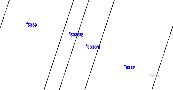 Parcela st. 5338/1 v KÚ Lomy u Jemnice, Katastrální mapa