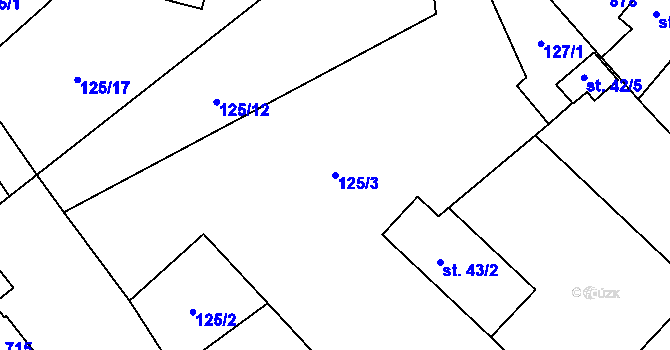 Parcela st. 125/3 v KÚ Loučeň, Katastrální mapa