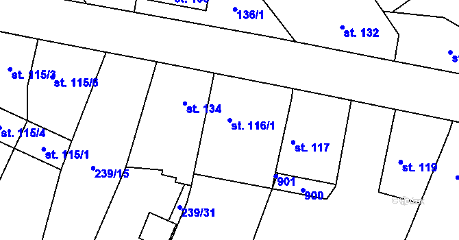 Parcela st. 116/1 v KÚ Loučeň, Katastrální mapa