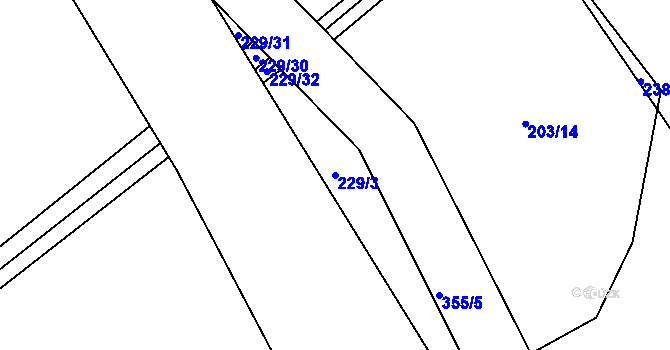 Parcela st. 229/3 v KÚ Loučky, Katastrální mapa