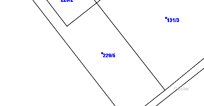 Parcela st. 229/5 v KÚ Loučky, Katastrální mapa