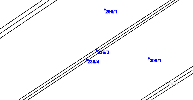 Parcela st. 236/3 v KÚ Loučky, Katastrální mapa