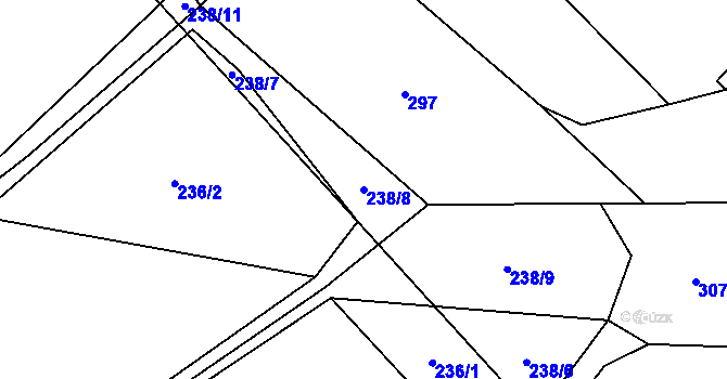 Parcela st. 238/8 v KÚ Loučky, Katastrální mapa