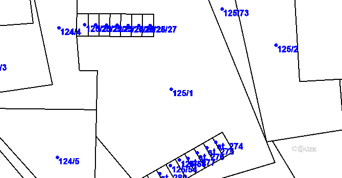Parcela st. 125/1 v KÚ Kociánov, Katastrální mapa