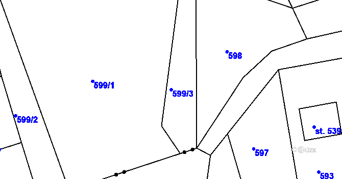 Parcela st. 599/3 v KÚ Loučovice, Katastrální mapa