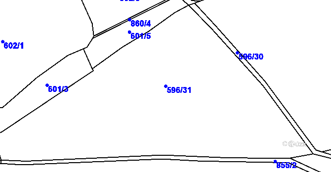 Parcela st. 596/31 v KÚ Louka, Katastrální mapa