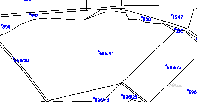 Parcela st. 596/41 v KÚ Louka, Katastrální mapa