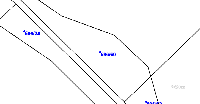 Parcela st. 596/60 v KÚ Louka, Katastrální mapa