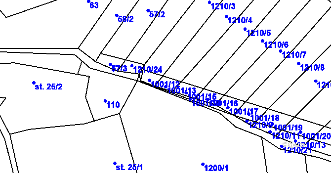 Parcela st. 1001/13 v KÚ Louka u Jemnice, Katastrální mapa