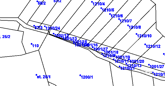 Parcela st. 1001/16 v KÚ Louka u Jemnice, Katastrální mapa
