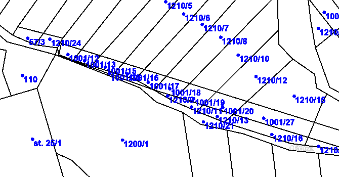 Parcela st. 1001/18 v KÚ Louka u Jemnice, Katastrální mapa