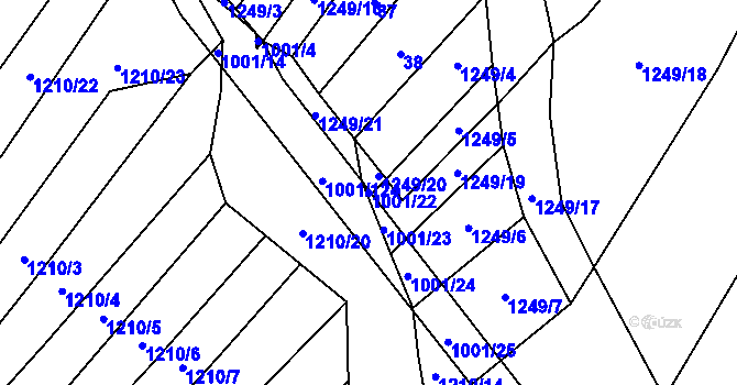 Parcela st. 1001/22 v KÚ Louka u Jemnice, Katastrální mapa