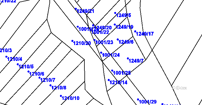 Parcela st. 1001/24 v KÚ Louka u Jemnice, Katastrální mapa