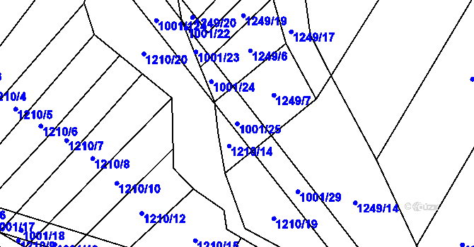 Parcela st. 1001/25 v KÚ Louka u Jemnice, Katastrální mapa