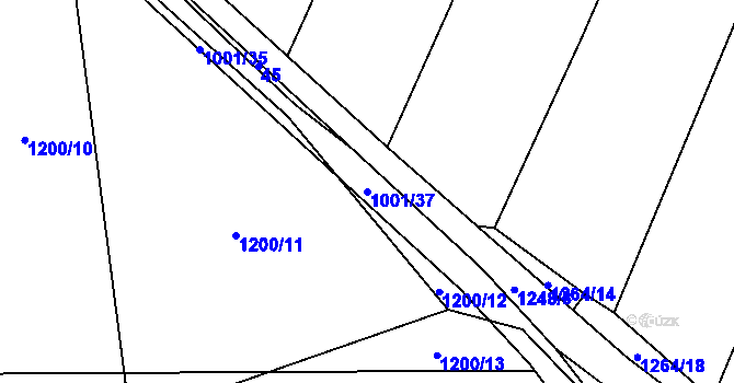 Parcela st. 1001/37 v KÚ Louka u Jemnice, Katastrální mapa