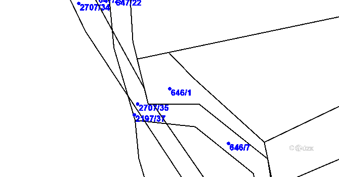 Parcela st. 646/1 v KÚ Louky nad Olší, Katastrální mapa