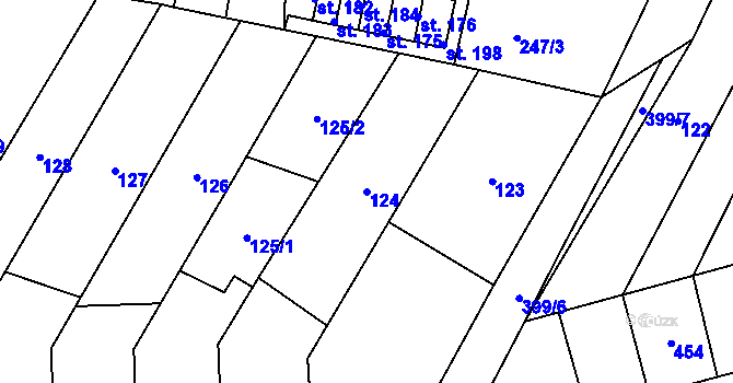 Parcela st. 124 v KÚ Lounky, Katastrální mapa