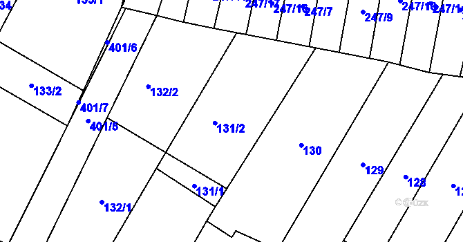Parcela st. 131 v KÚ Lounky, Katastrální mapa