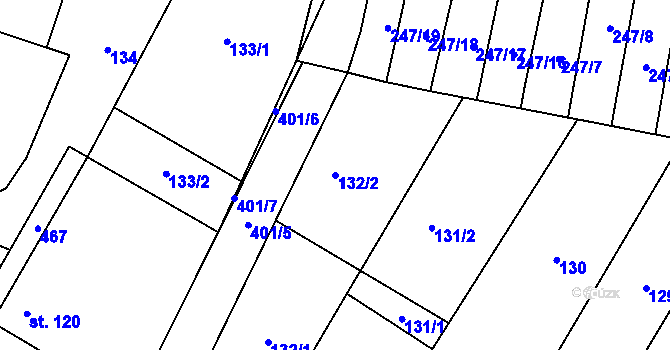 Parcela st. 132/2 v KÚ Lounky, Katastrální mapa