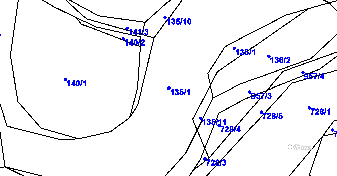 Parcela st. 135/1 v KÚ Louňová, Katastrální mapa