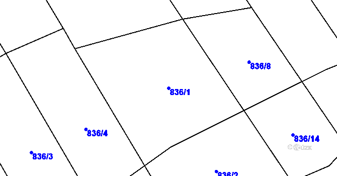 Parcela st. 836/1 v KÚ Bližanovy, Katastrální mapa