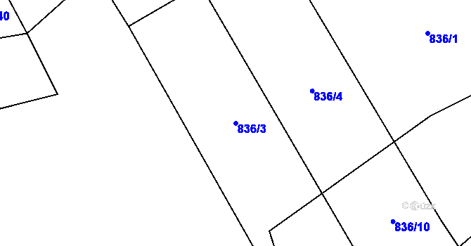 Parcela st. 836/3 v KÚ Bližanovy, Katastrální mapa