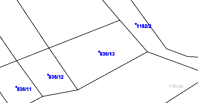 Parcela st. 836/13 v KÚ Bližanovy, Katastrální mapa