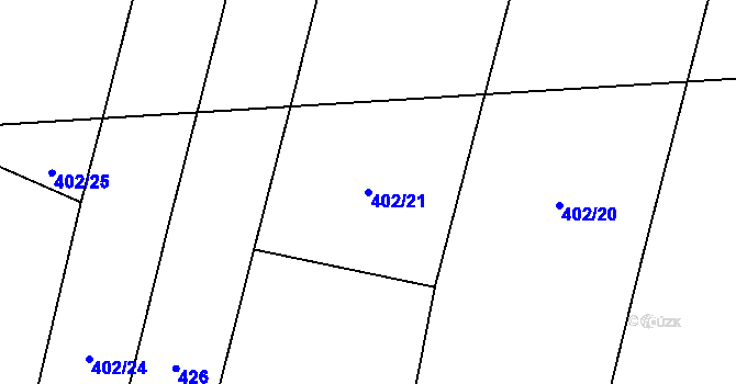 Parcela st. 402/21 v KÚ Kvasetice, Katastrální mapa