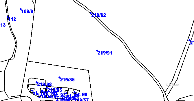 Parcela st. 219/91 v KÚ Kvasetice, Katastrální mapa