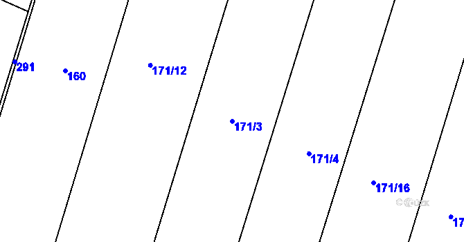 Parcela st. 171/3 v KÚ Luběnice, Katastrální mapa