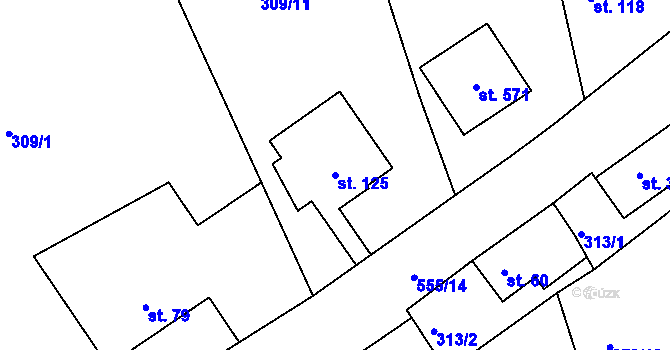 Parcela st. 125 v KÚ Drnholec nad Lubinou, Katastrální mapa