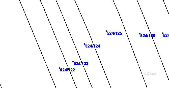 Parcela st. 524/124 v KÚ Lubojaty, Katastrální mapa