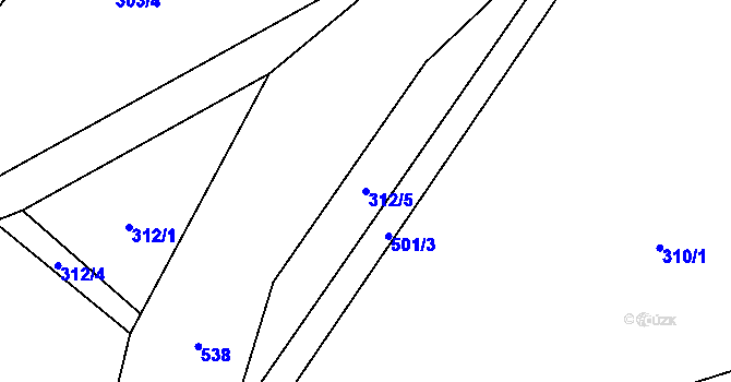 Parcela st. 312/5 v KÚ Lučina u Tachova, Katastrální mapa