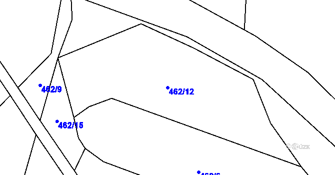 Parcela st. 462/12 v KÚ Mýto u Tachova, Katastrální mapa