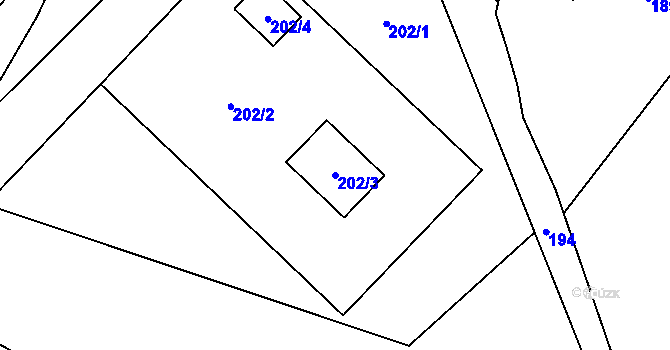 Parcela st. 202/3 v KÚ Luční Chvojno, Katastrální mapa