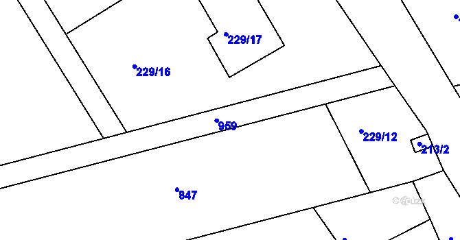 Parcela st. 229/8 v KÚ Luh nad Svatavou, Katastrální mapa